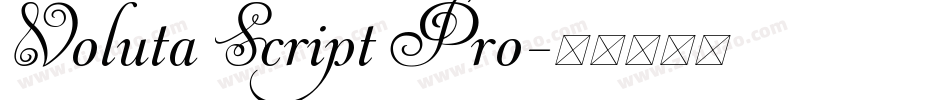 Voluta Script Pro字体转换